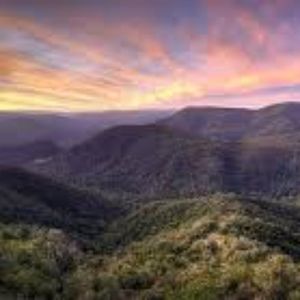 Meet your Posher, Cc77